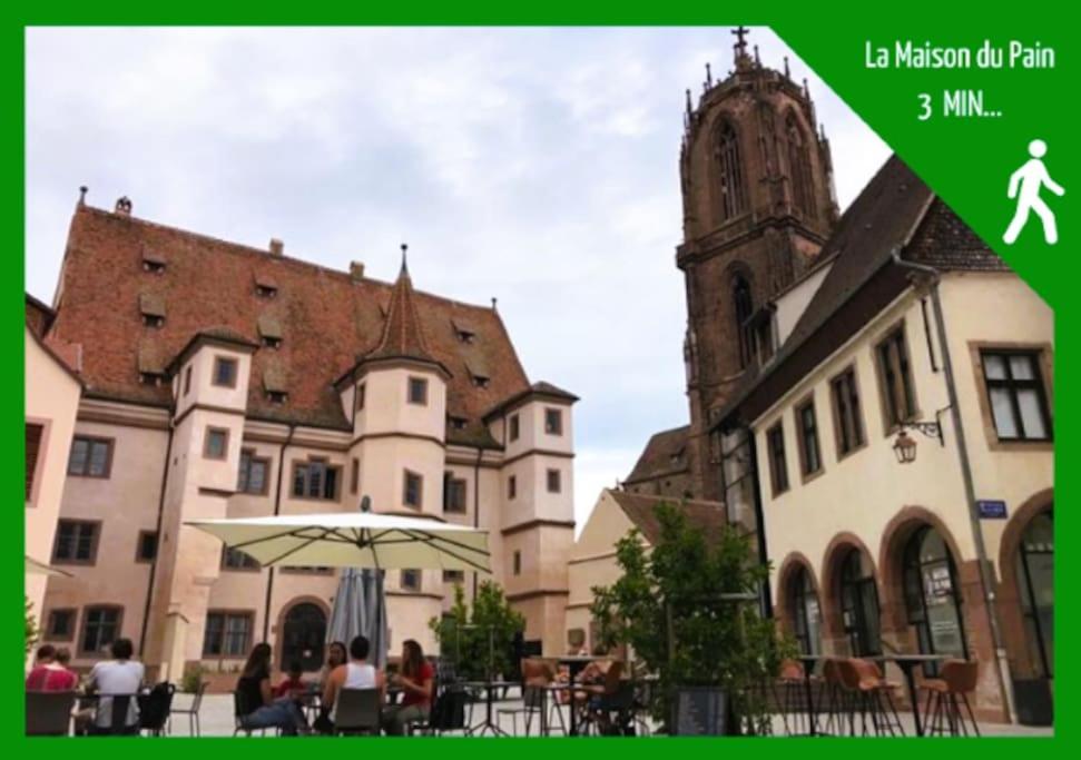Le Bottier Alsacien Apartment Selestat Luaran gambar